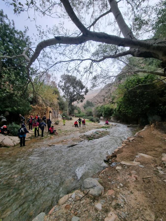L'Oliveraie D'أمزميز المظهر الخارجي الصورة
